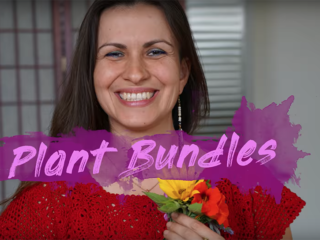 Wellness: Plant Bundles