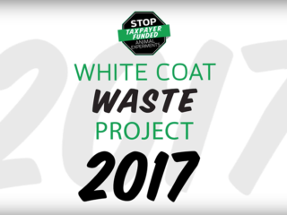 White Coat Waste End of Year 2017