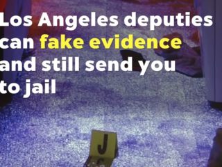 Deputy Faked Evidence